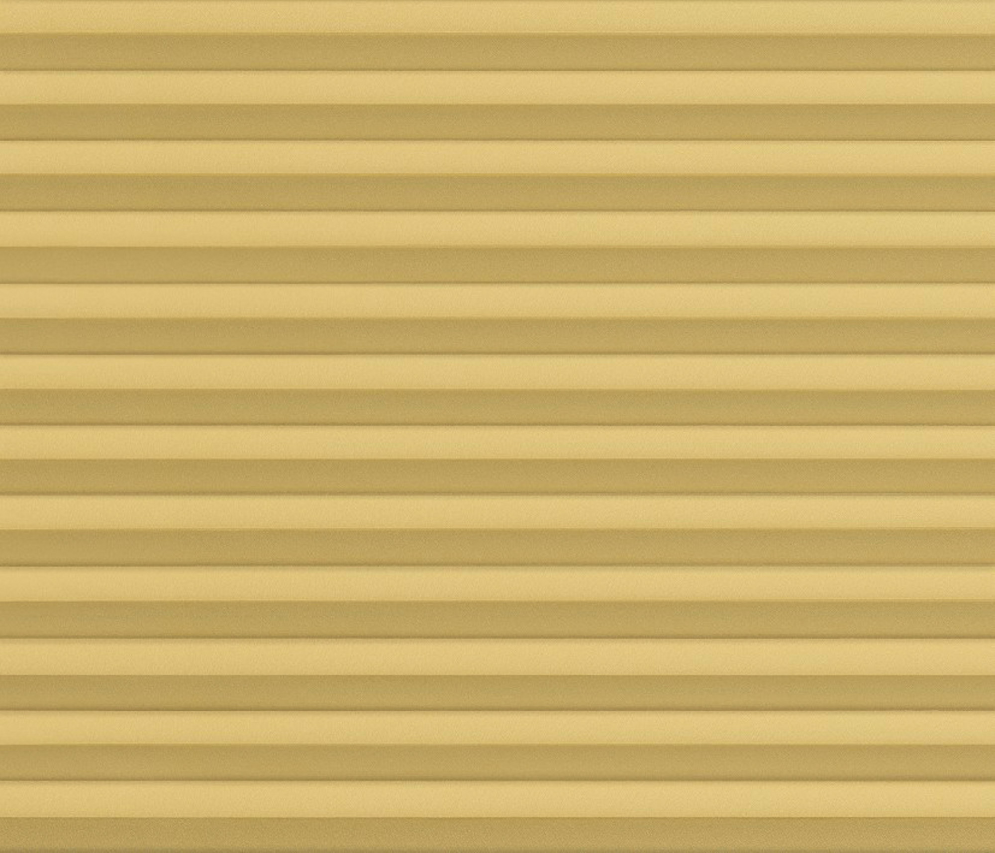 20426 Cara Perlmutt Color B1